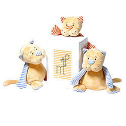 ToyImage