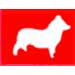 Customer Icon