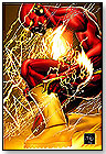 The Flash: Rebirth by DC COMICS