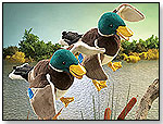 Mallard by FOLKMANIS INC.