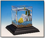 Classic Water Garden Starter Kit Eco-Aquarium by WILD CREATIONS