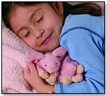 Warm Whiskers Eye & Dream Pillows by WARM WHISKERS