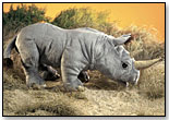 Rhinoceros Hand Puppet by FOLKMANIS INC.