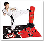 Black Belts Karate Home Studio DVD by SPIN MASTER TOYS