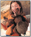 Large Tarantula Hand Puppet by FOLKMANIS INC.