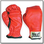 Everlast Everhide Youth Boxing Gloves by EVERLAST SPORTS MFG.