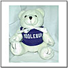 Small Educated Bear by ABEL CREATIONS CO.