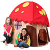 Mushroom House