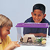 Hermit's Haven™ by HSP NATURE TOYS