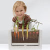 Root-Vue Farm® Refill Kit by HSP NATURE TOYS