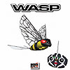 i-Fly Wasp by INTERACTIVE TOY CONCEPTS LTD.