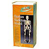 Human Skeleton Model - 85 cm by PACIFIC SCIENCE SUPPLIES INC.