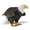 Incredible Creatures Bald Eagle