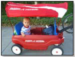 Ultimate Family Wagon by RADIO FLYER