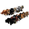 The Lucky Stars Collection by WILD HEART RANCH