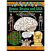Bones, Brains and DNA. by BUNKER HILL PUBLISHING