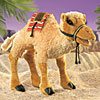 Camel by FOLKMANIS INC.