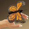 Mini Monarch Butterfly by FOLKMANIS INC.