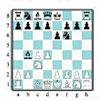 Chess openings posters by Les Entreprises SynHeme inc.