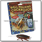 Wall Walking Cockroach by PLAY VISIONS INC.