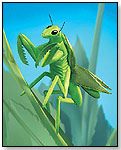 Praying Mantis Hand Puppet by FOLKMANIS INC.