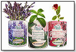 Aromatherapy Complete Garden Kits by GIFTS THAT BLOOM