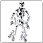 Inflatable Skeleton Parts by LEARNING RESOURCES INC.
