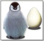 Wild Creations Science & Nature - Shuffling Penguin by WILD CREATIONS