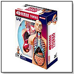 4D Vision Anatomy Kits by TEDCO INC.
