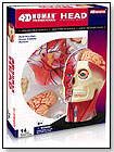4D Vision Human Head Anatomy Model by TEDCO INC.