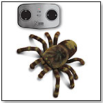 Science & Nature Radio-Controlled Tarantula by WILD CREATIONS