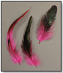 Feather Hair Accessories by MIDWEST DESIGN IMPORTS INC.