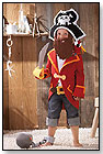 Captain Charlie Pirate Costume by HABA USA/HABERMAASS CORP.