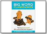 Big Words Flashcards by KNOCK KNOCK