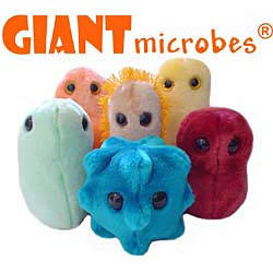 Giantmicrobes, Inc.