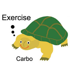 ToyImage