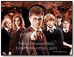 Harry Potter Visual Echo 3D Puzzle by HOBBICO