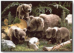Brown Bear Cub by KÖSEN USA, Inc.