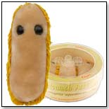 GIANTmicrobes Petri Dish – Stomach Ache by GIANTMICROBES