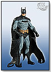 Series 6: Batman Action Figure by DIAMOND COMIC DISTRIBUTORS