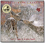 First Snow in the Woods by CARL R. SAMS II PHOTOGRAPHY INC.  (STRANGER IN THE WOODS)