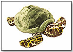 National Geographic Kids Sea Turtle by INTERNATIONAL PLAYTHINGS LLC