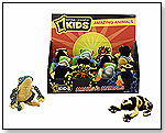 National Geographic Kids Tropical Frog Display by INTERNATIONAL PLAYTHINGS LLC