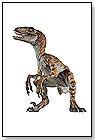 Velociraptor by HOTALING IMPORTS