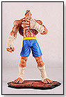 Sagat by SOTA TOYS INC.