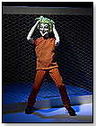 Arkham Asylum Joker by TONNER DOLL COMPANY