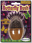 Butterfly Bush Micro Terrarium by DUNECRAFT INC.