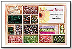 Springtime Arietta Beading Kit by BEAD BAZAAR/KID JOURNEYS