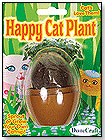 Happy Cat Plant (Micro Terrarium) by DUNECRAFT INC.