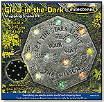 Glow in the Dark Stepping Stone Kit by MILESTONES PRODUCTS COMPANY